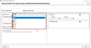 Choose MSG as the file format.